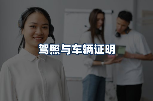 车辆证明展示